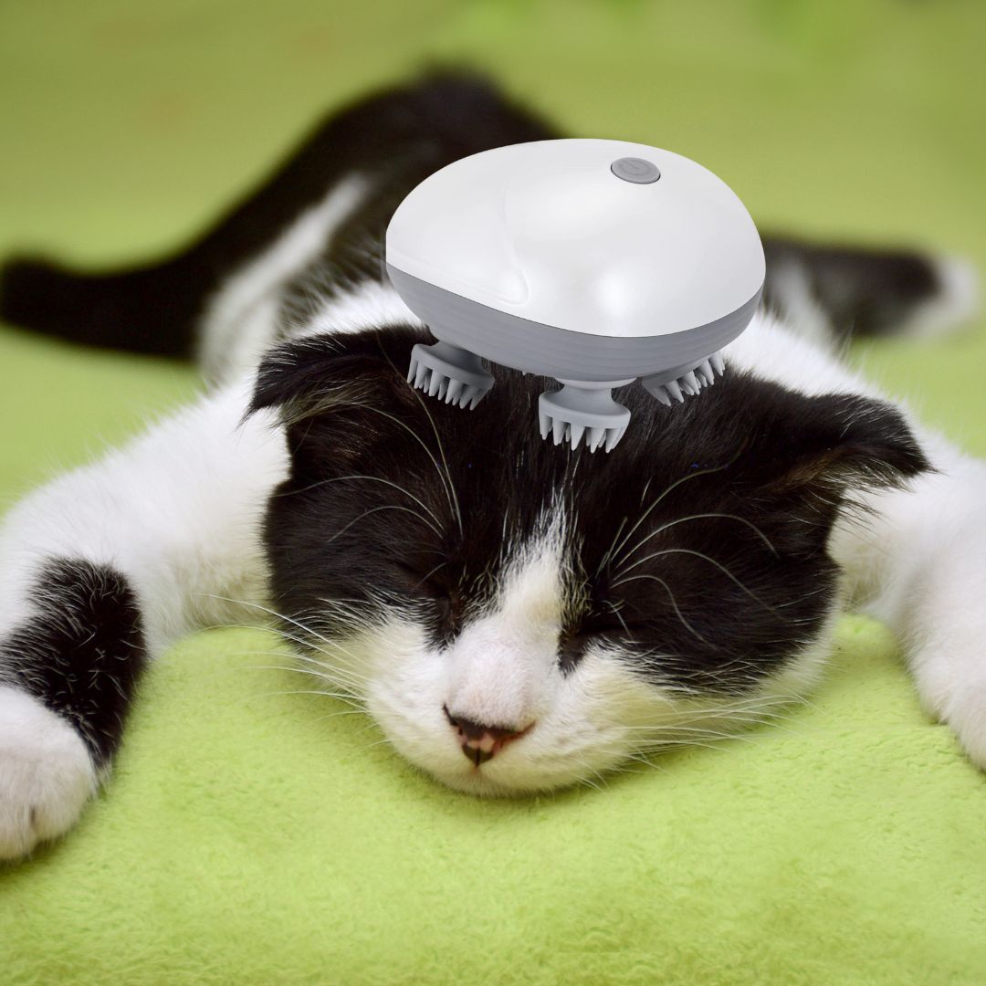 Appareil de Massage pour chat ou chien - RELAXPETSâą - Kryspet's