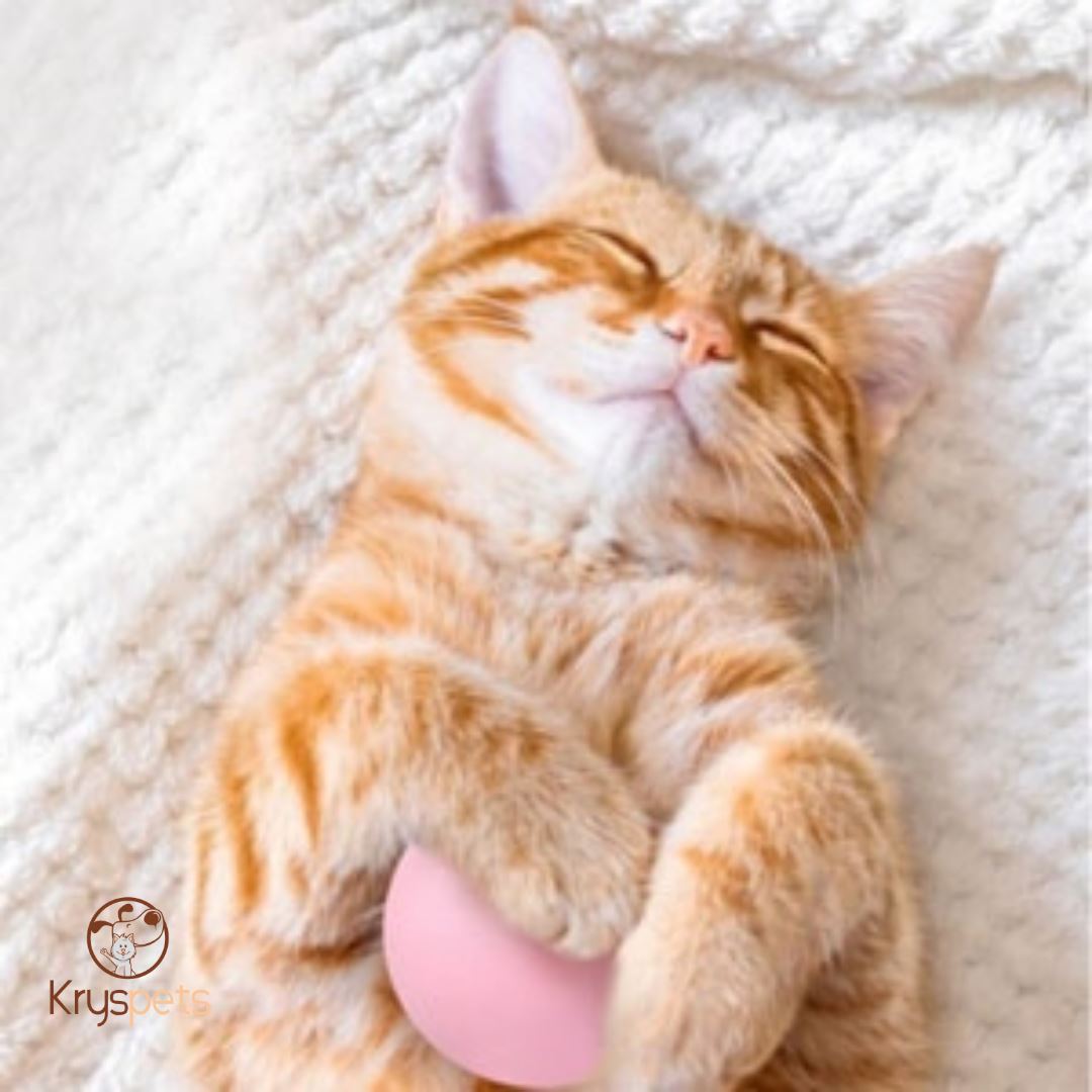 Jouet boule pour chat - Boule interactive KATBOULE™ - Kryspet's