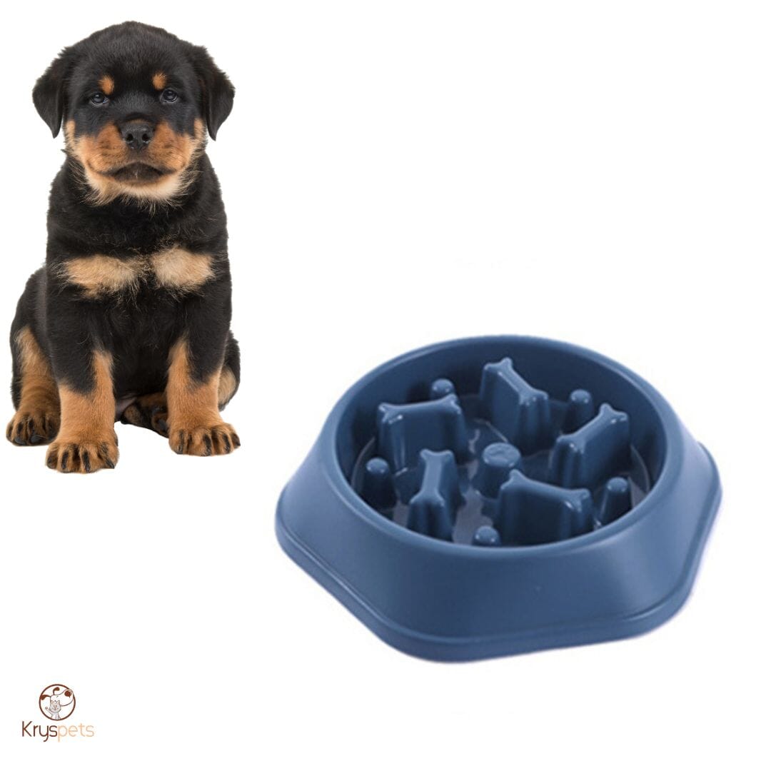 Gamelle anti glouton - KrysGLOUTON™