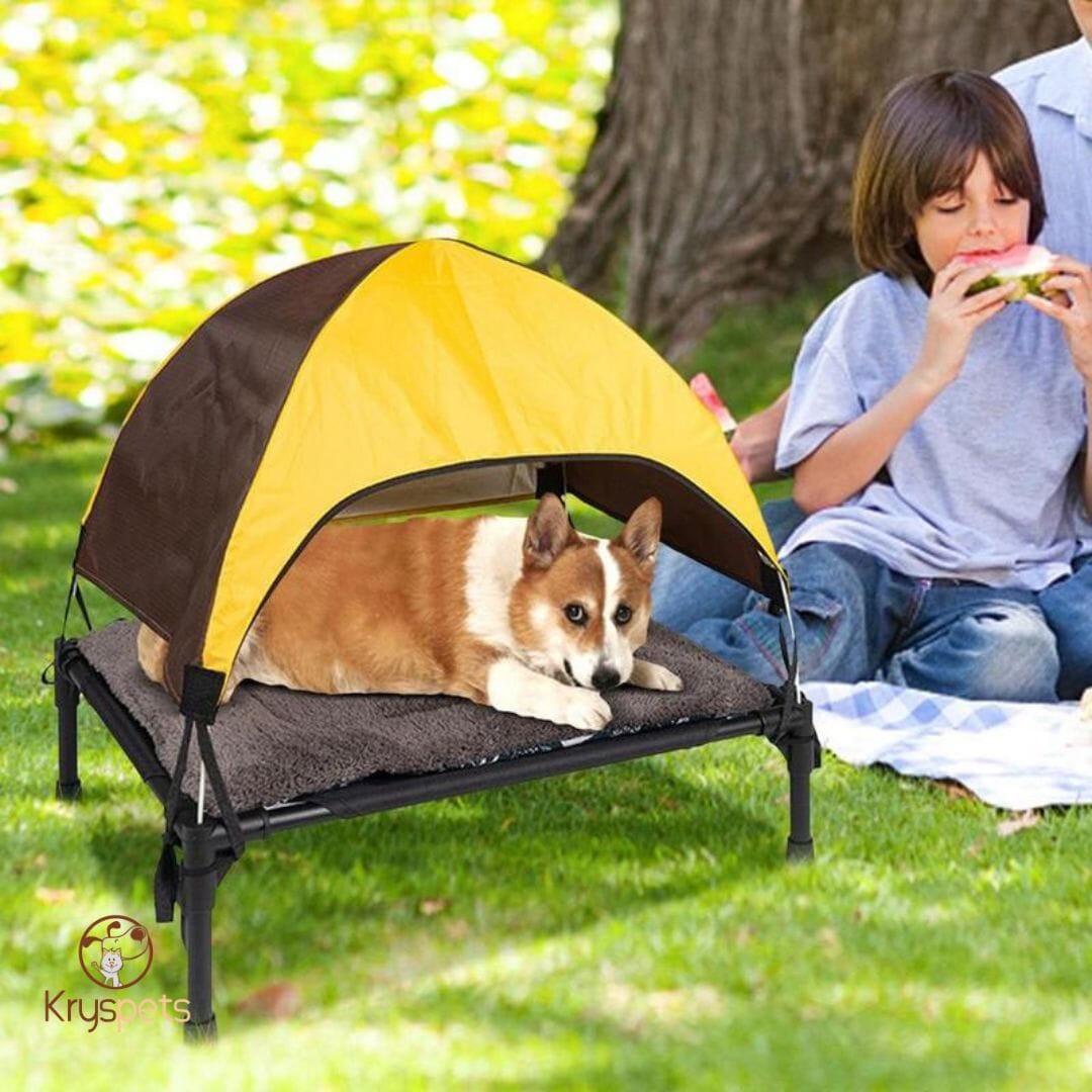 Lit pour chien - BedDOG™
