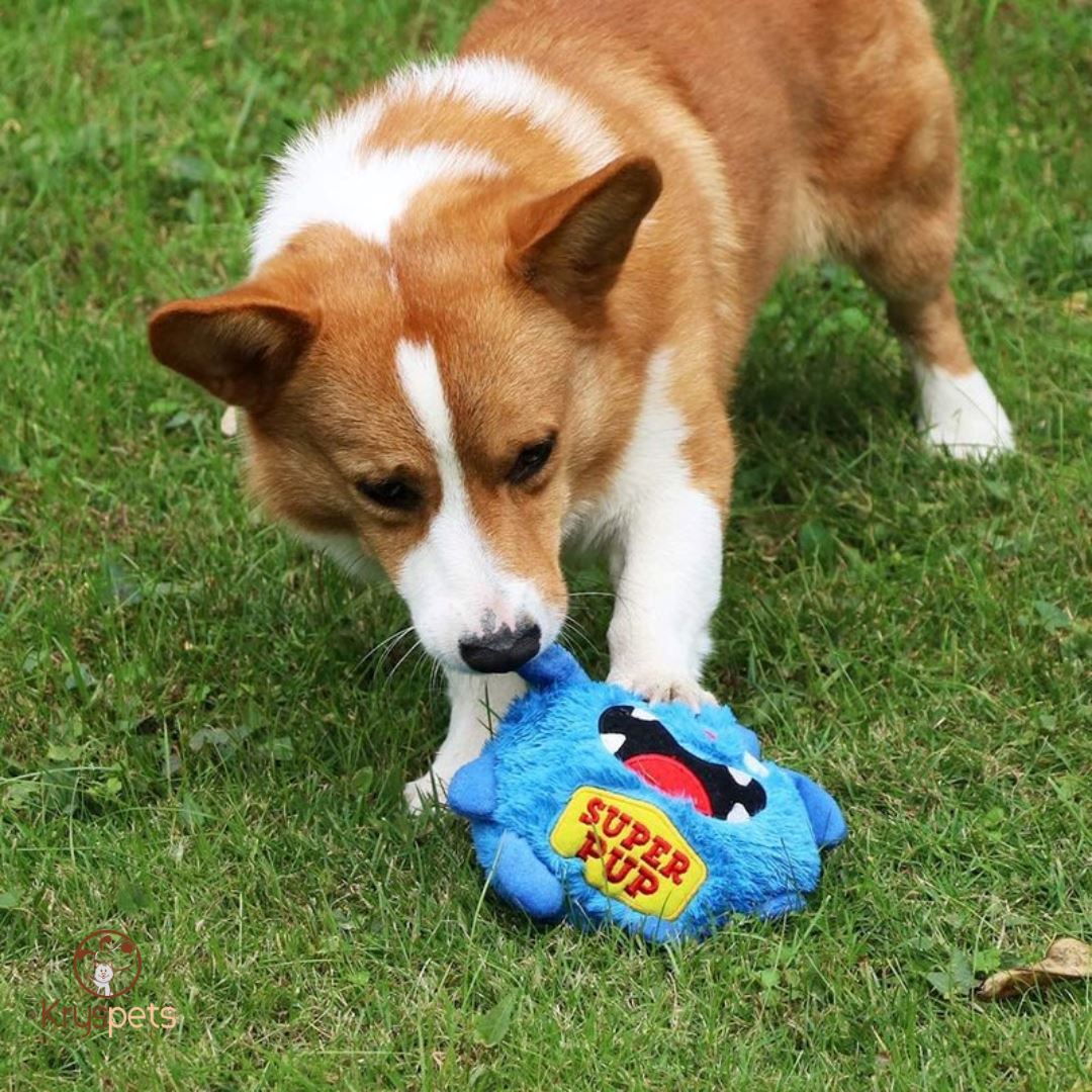 Jouet chien BallaBOND™