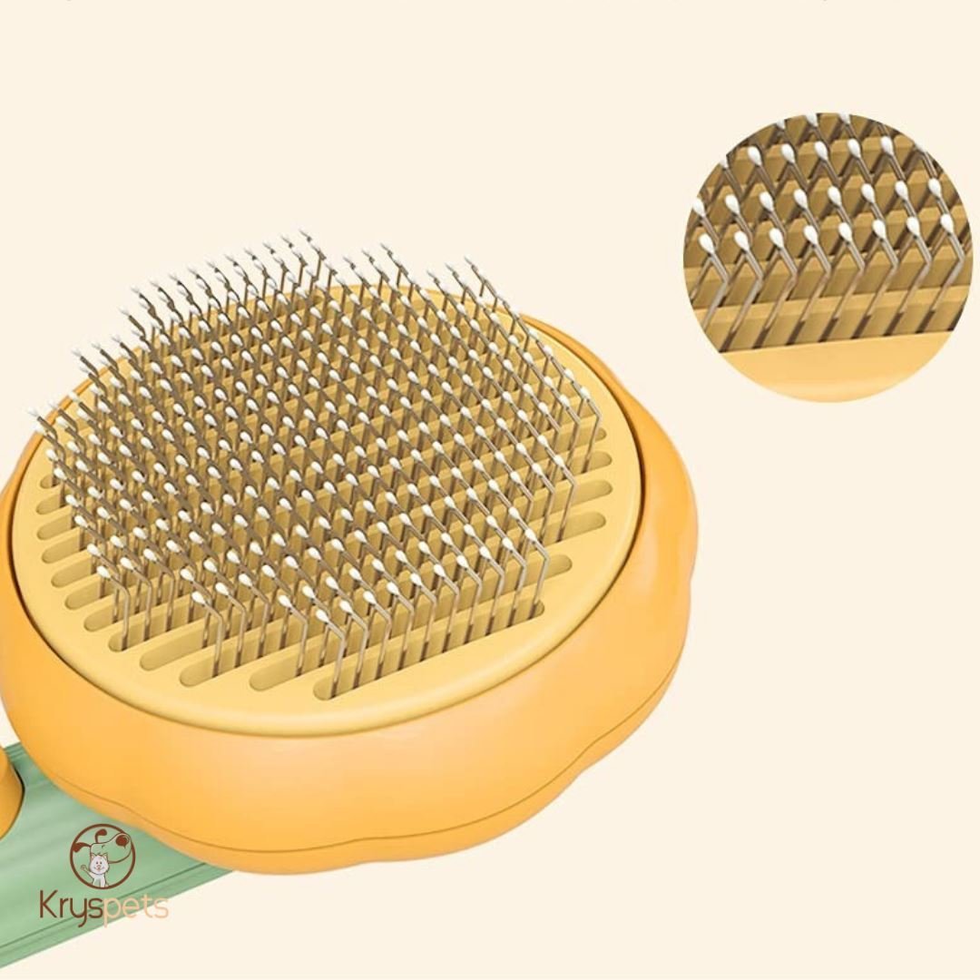 Brosse anti poils