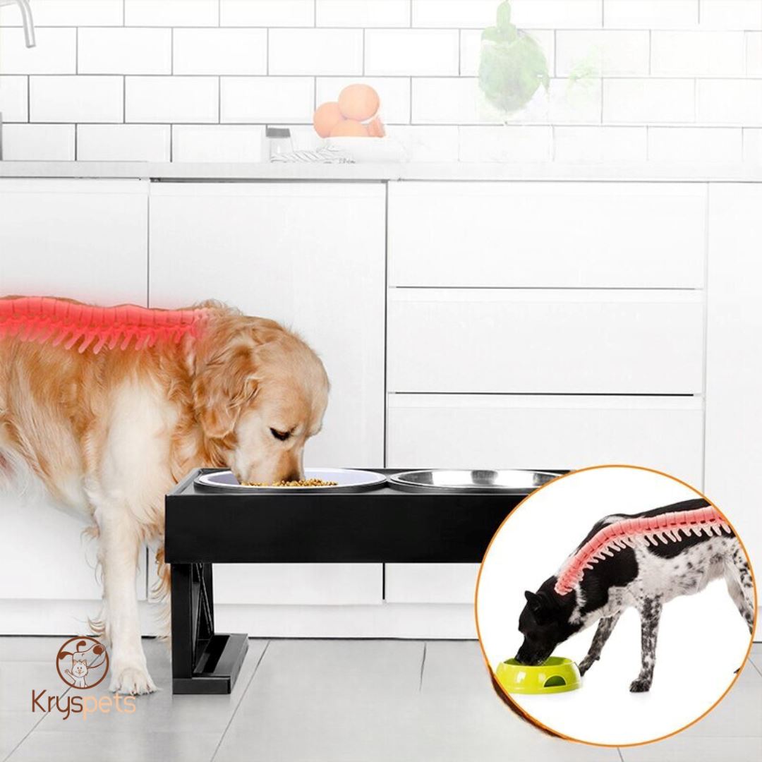 Gamelle chien - KrysGAMELLE™
