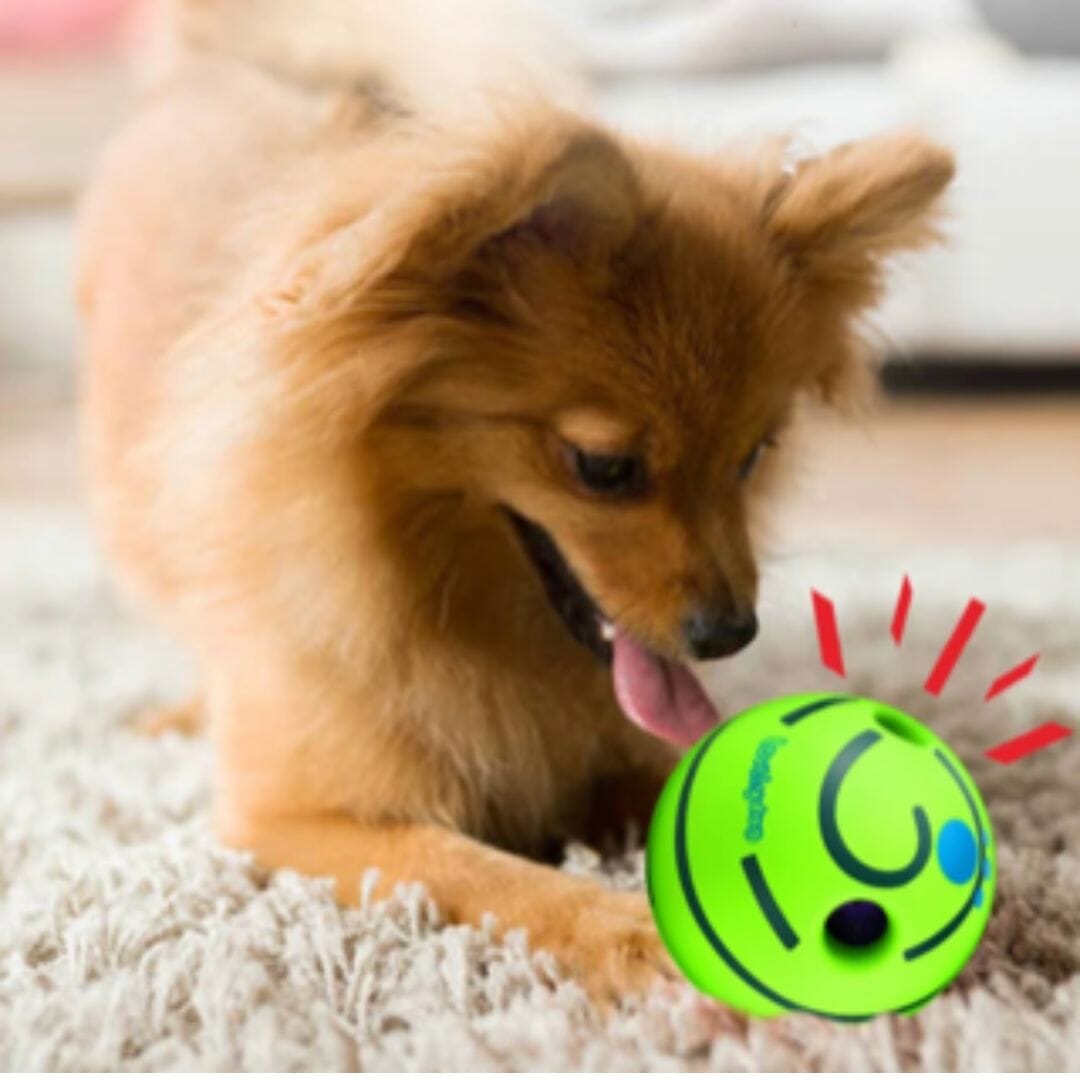 Balle pour chien - KrysBALLE™
