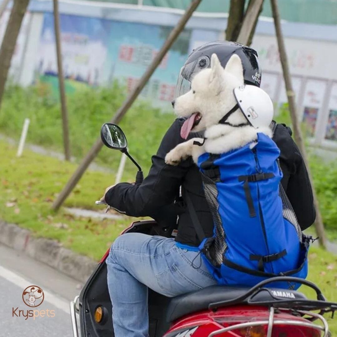 Sac à dos pour chien