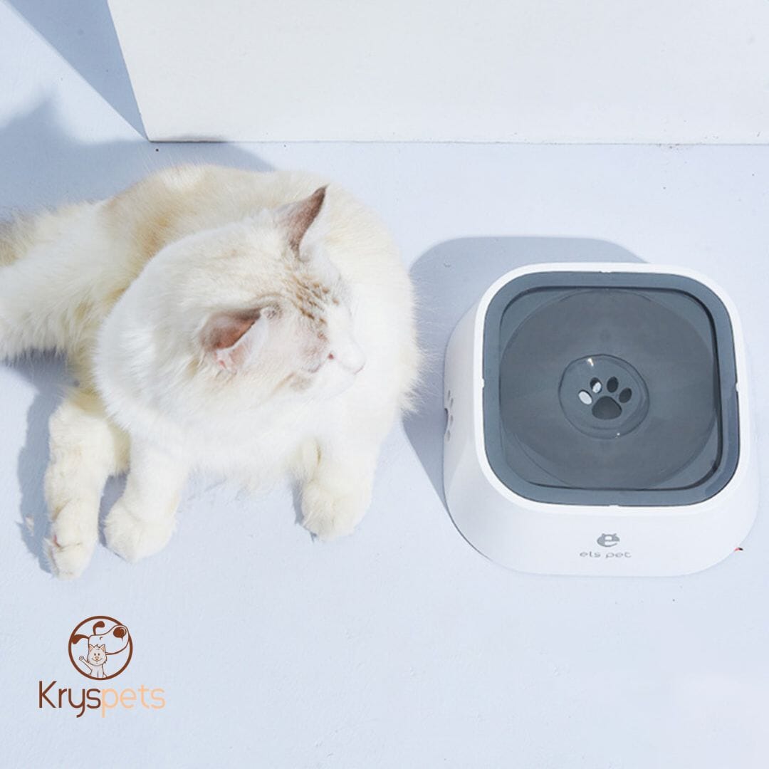 Gamelle pour chien - KrysWater™
