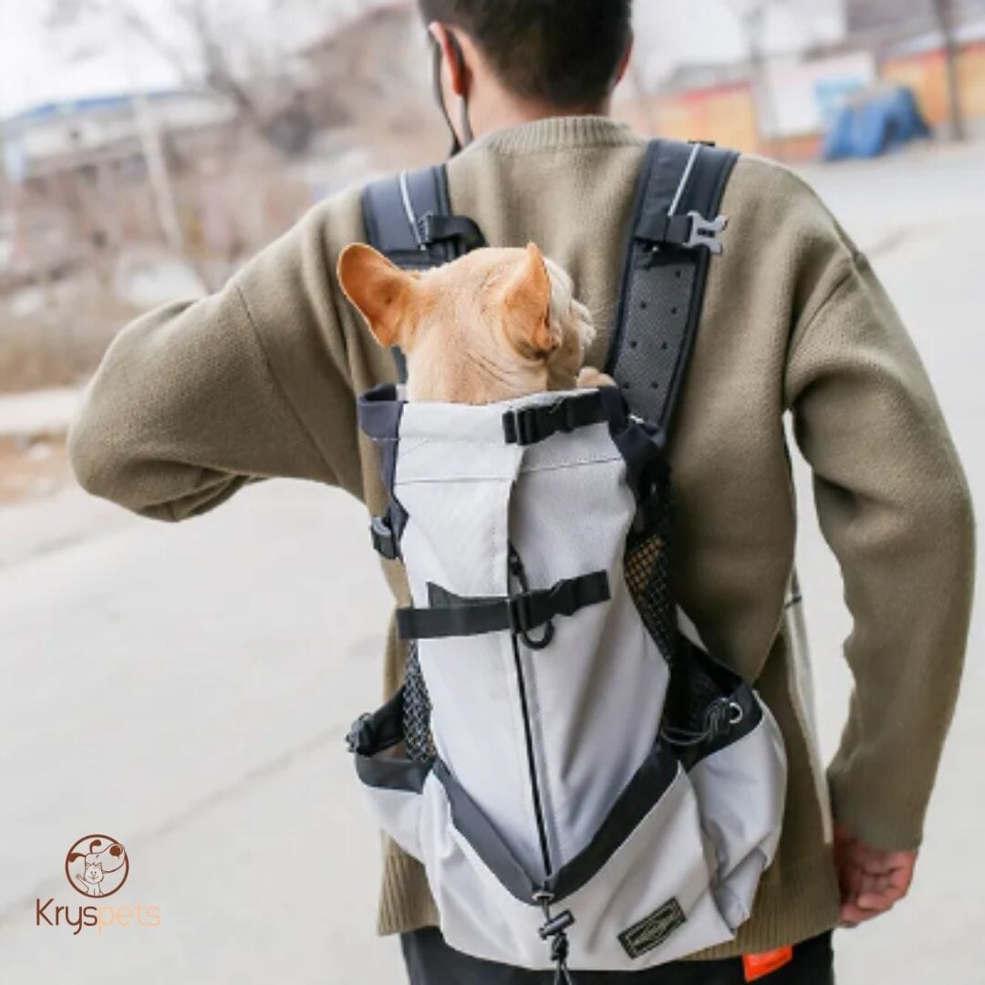 Sac à dos pour chien
