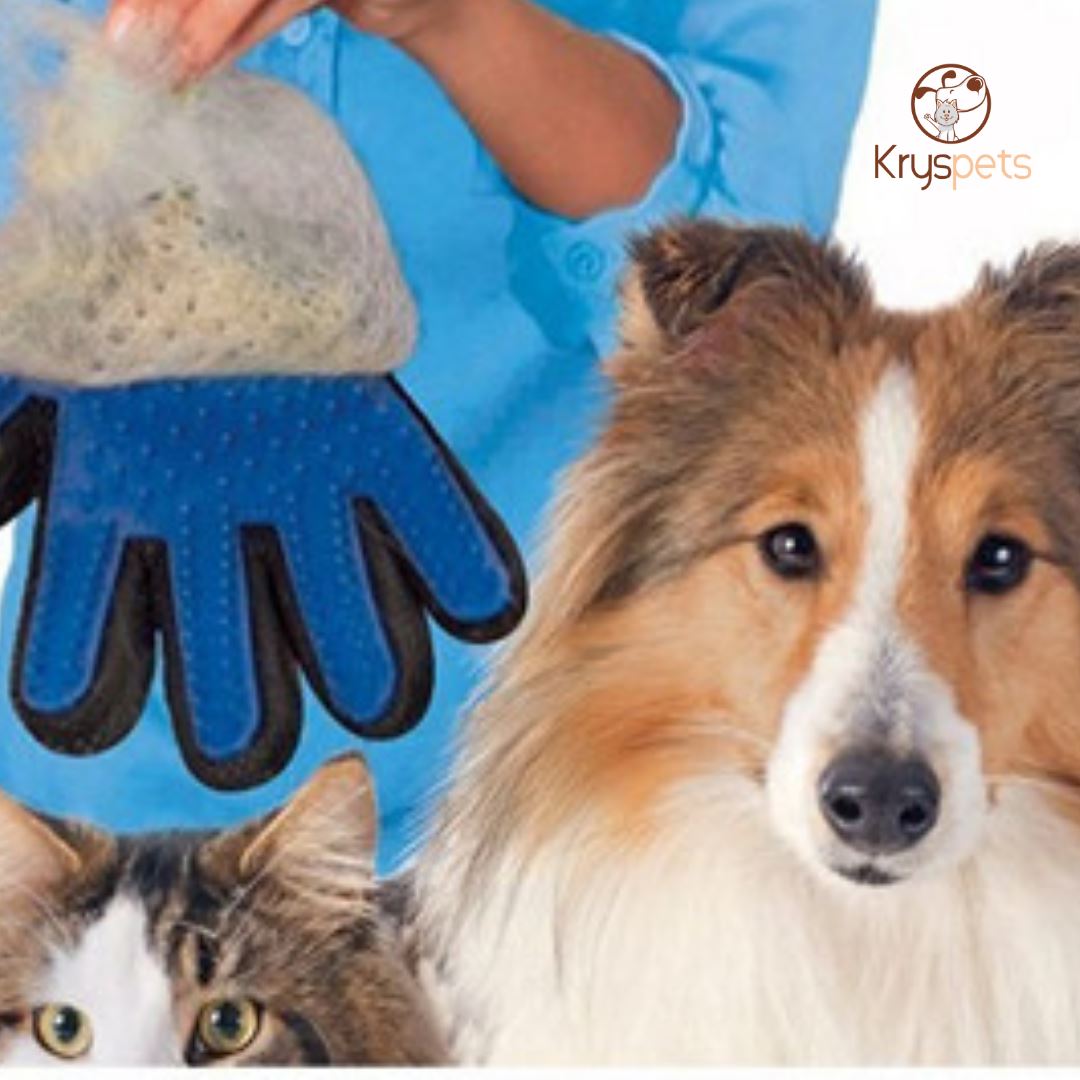 Gants de toilettage pour chien chat -CLEANCARESS™ - Kryspet's
