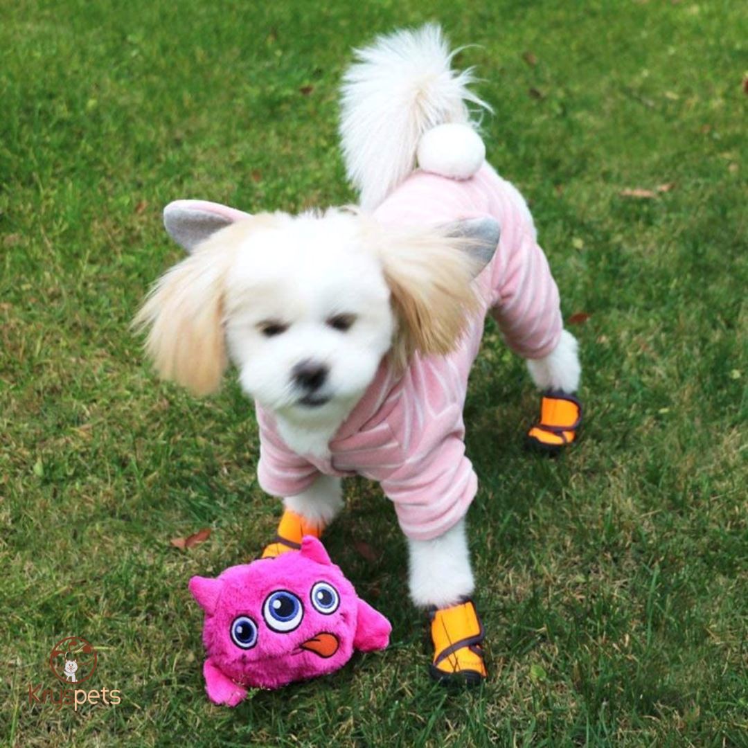 Jouet chien BallaBOND™