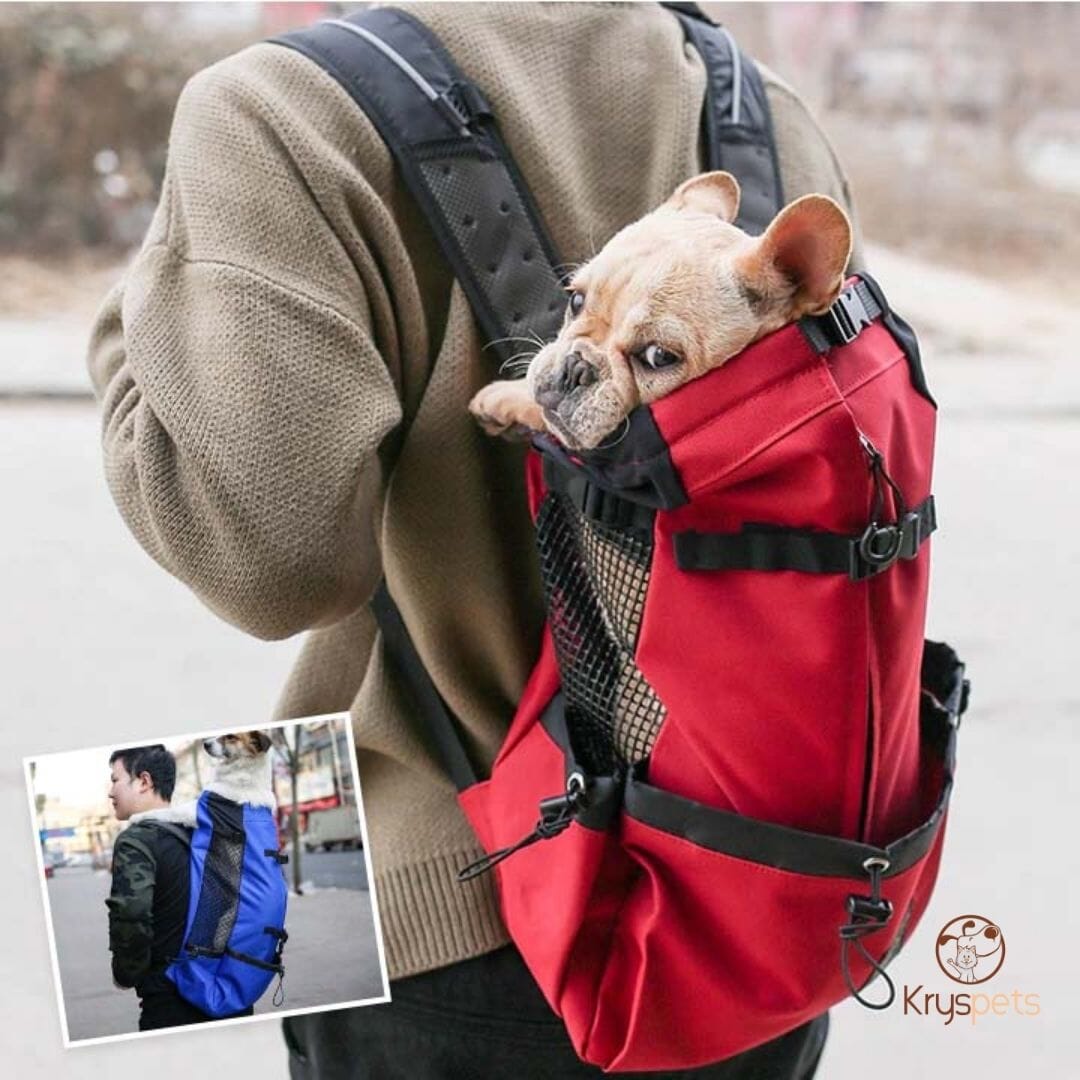Sac à dos pour chien