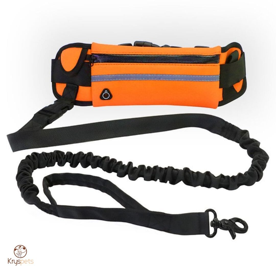 Laisse pour chien mains libres -HipLead™