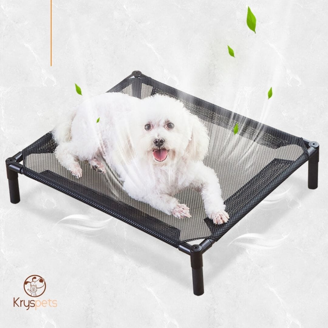 Lit pour chien - BedDOG™