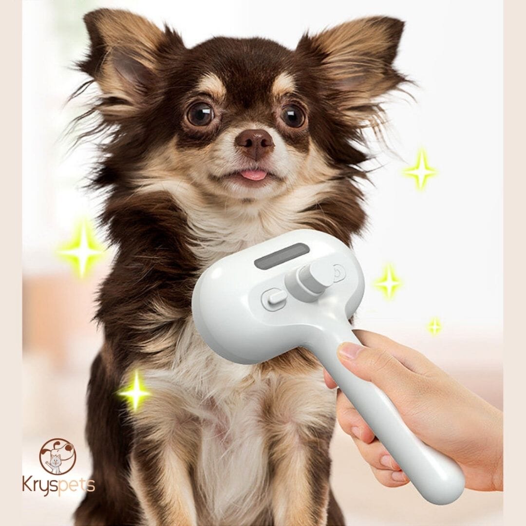 Brosse vapeur animaux - CleanHAIR™