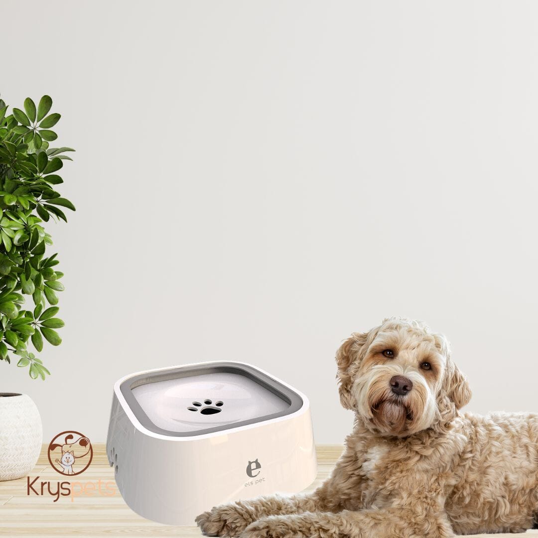 Gamelle pour chien - KrysWater™
