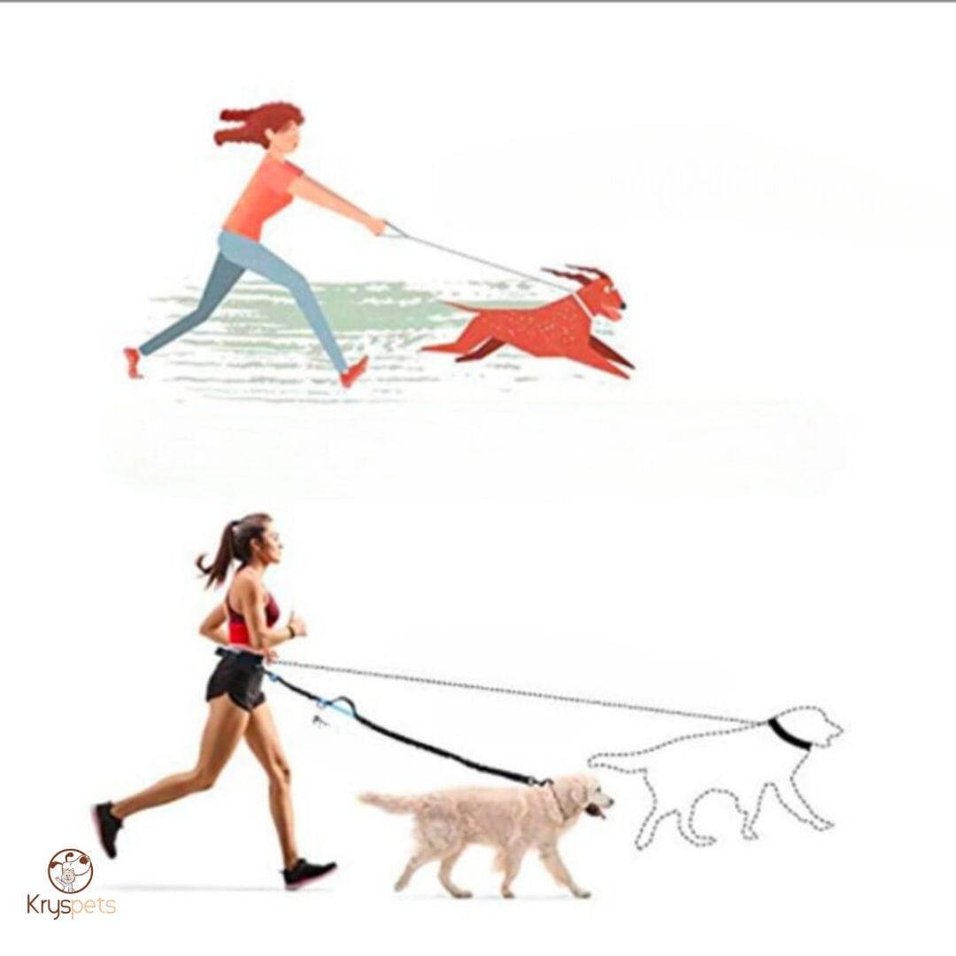 Laisse pour chien mains libres -HipLead™