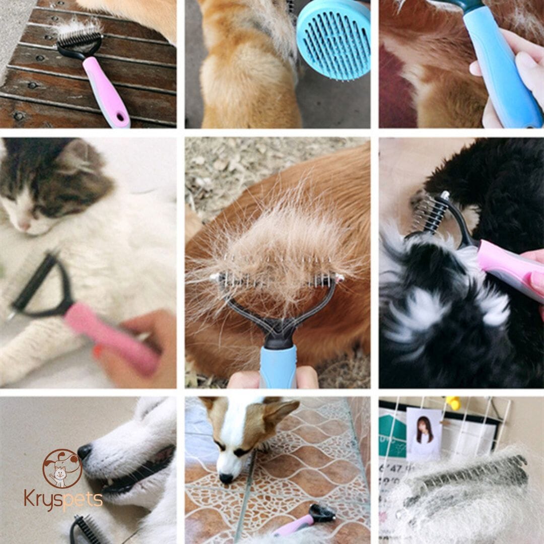 Brosse chien - DEMELETOUTOU™
