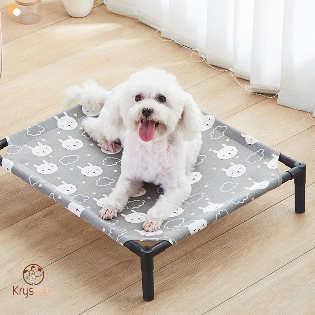 Lit pour chien - BedDOG™