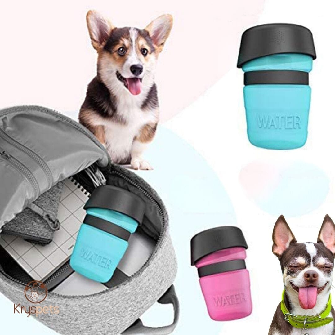 Gourde pour chien - KrysGOURDE™