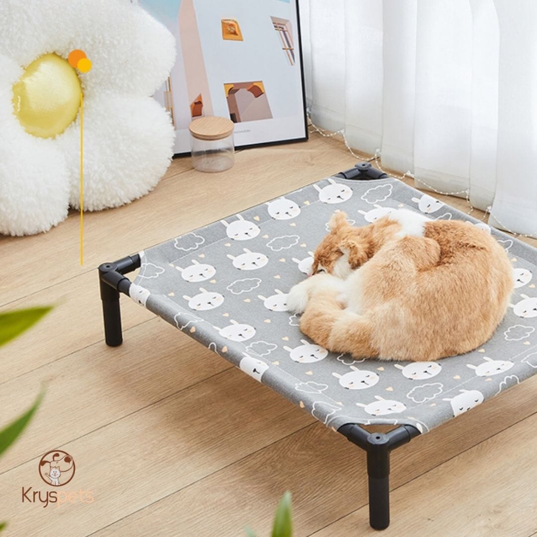 Lit pour chien - BedDOG™