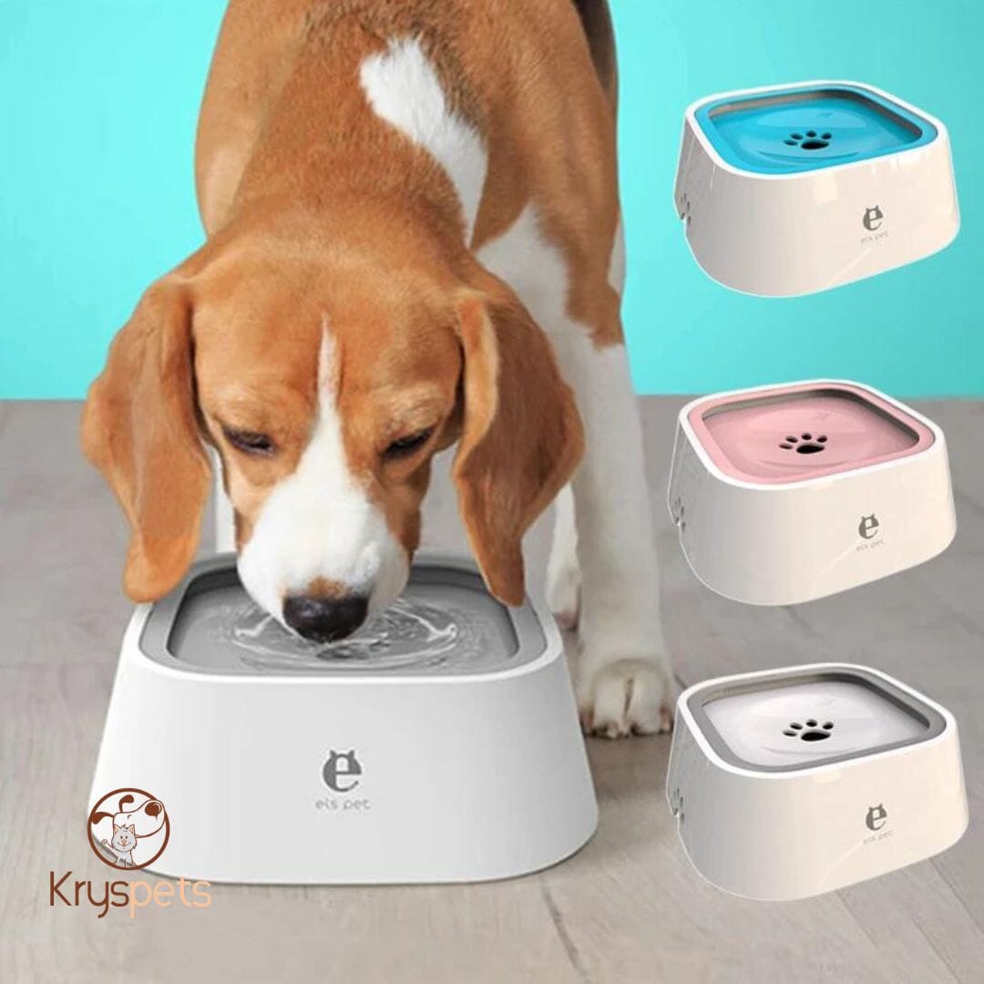 Gamelle pour chien - KrysWater™