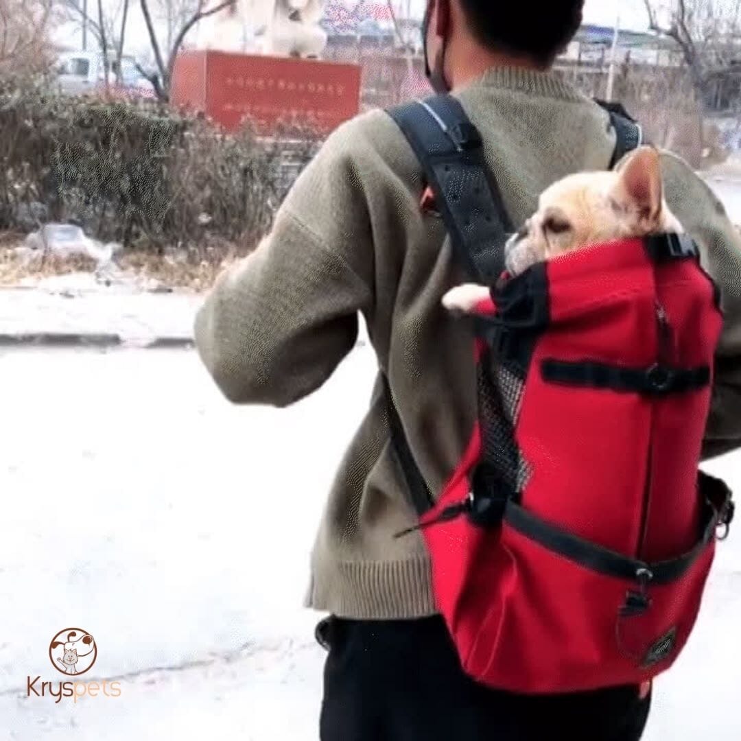 Sac à dos pour chien