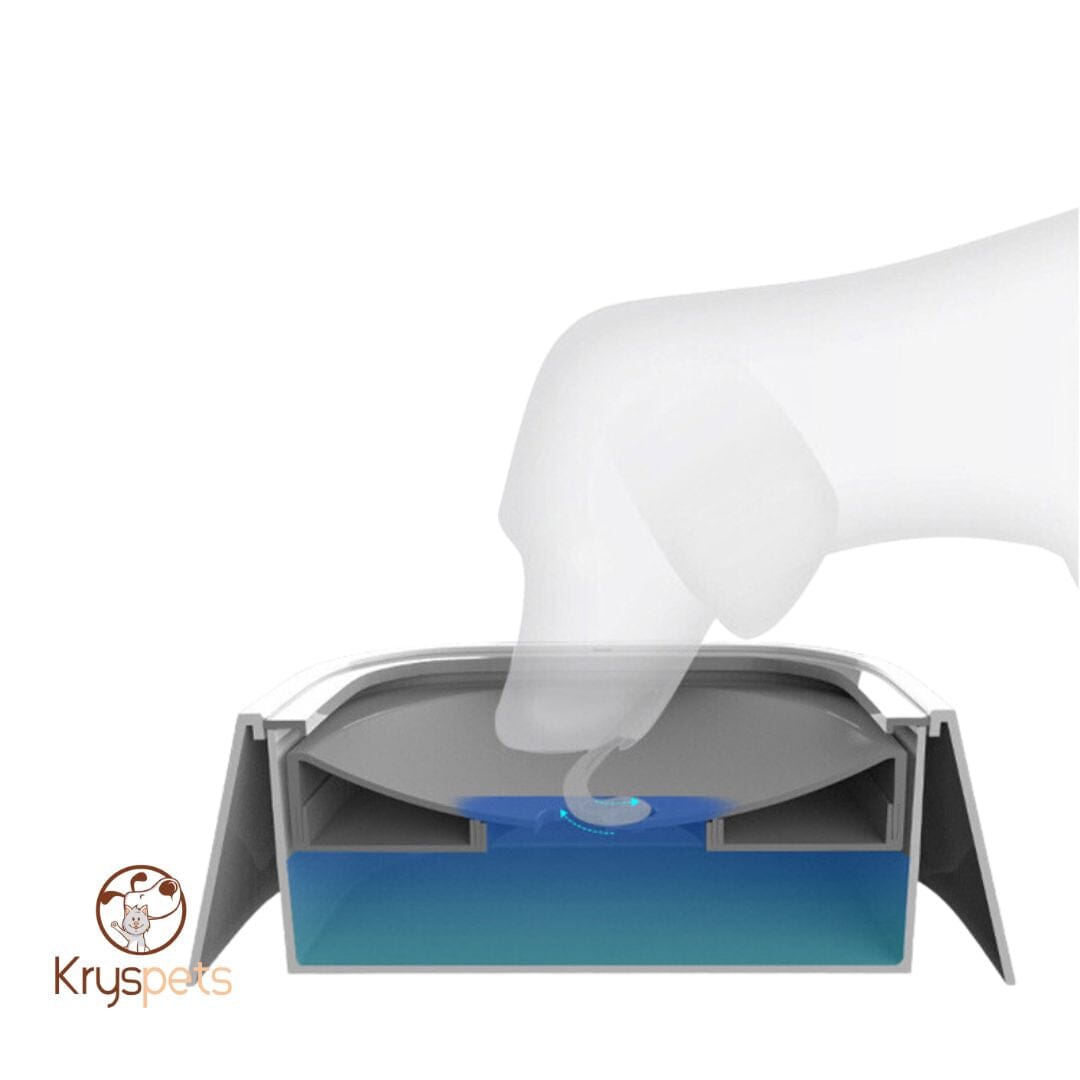 Gamelle pour chien - KrysWater™