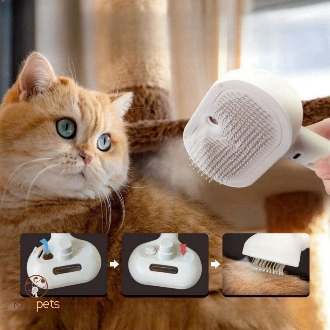 Brosse vapeur animaux - CleanHAIR™