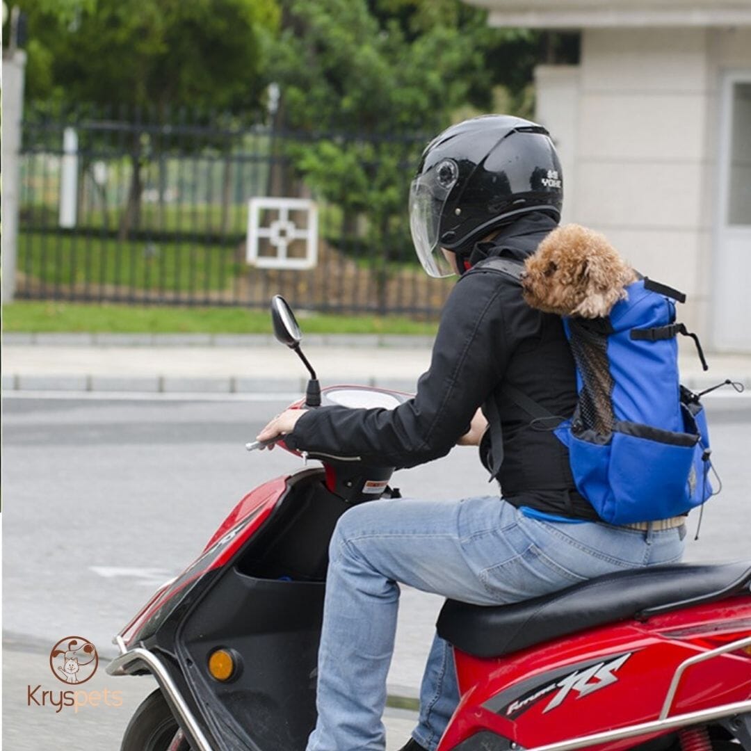 Sac à dos pour chien
