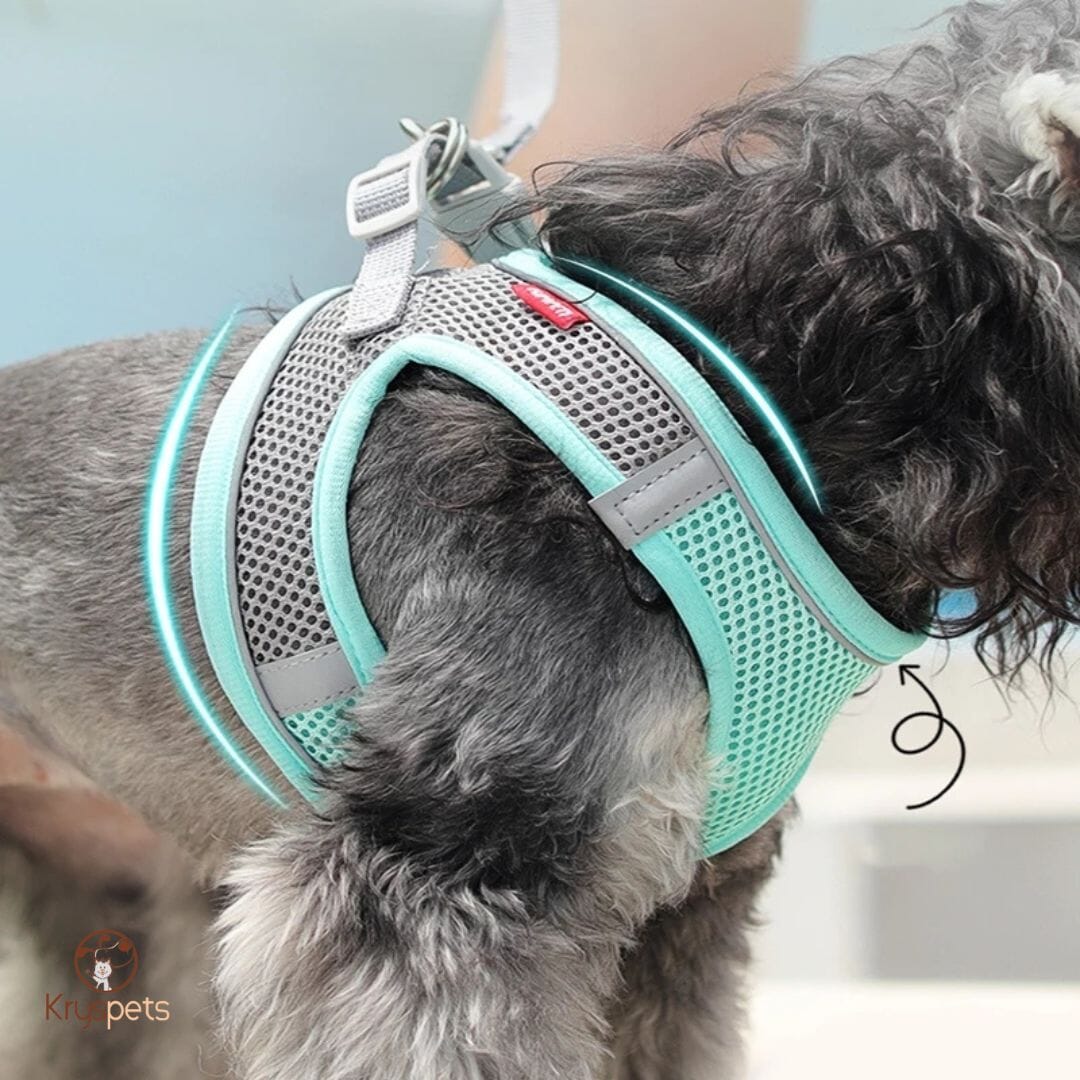 Harnais anti traction chien - MiniPETS™