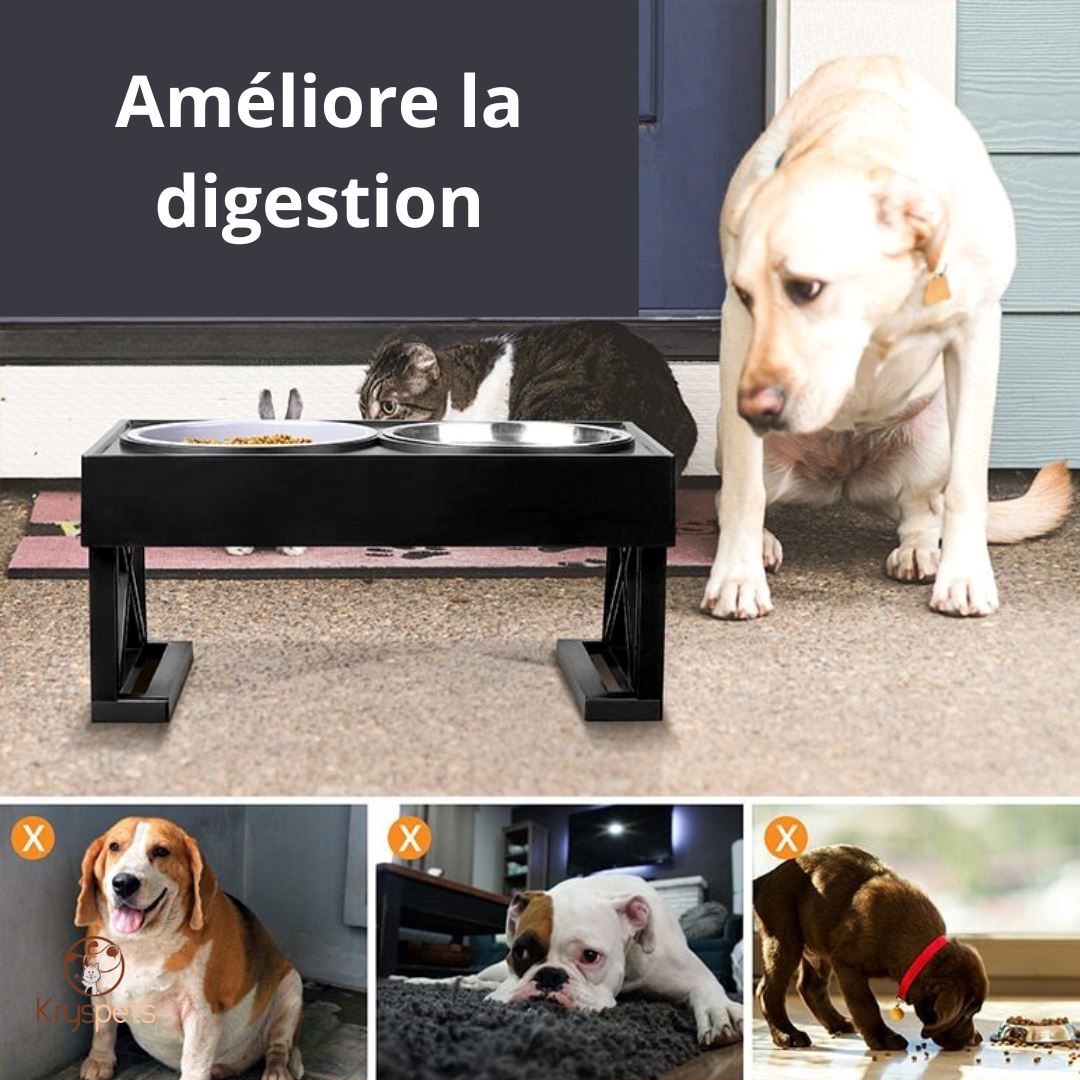 Gamelle chien - KrysGAMELLE™