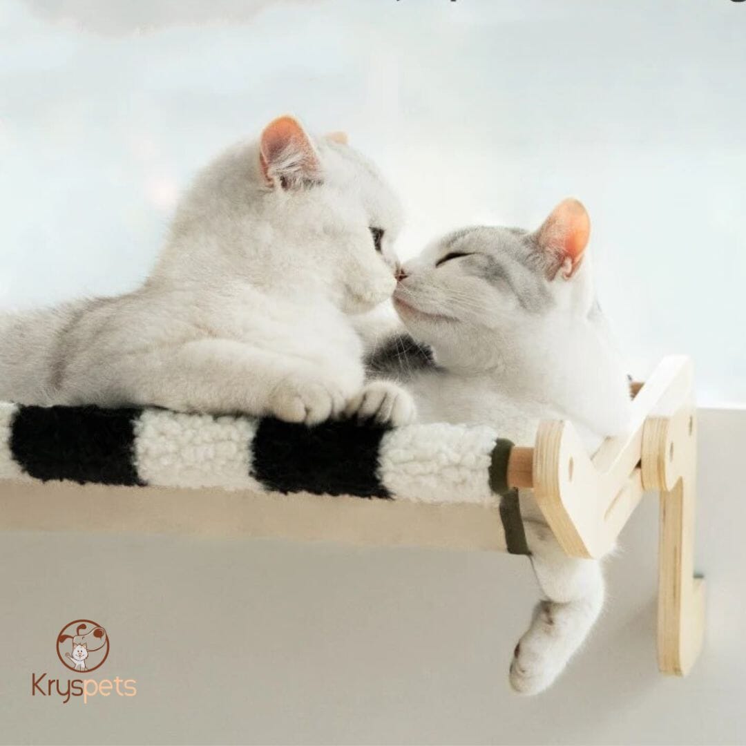 Hamac pour chat - HAMACHAT™