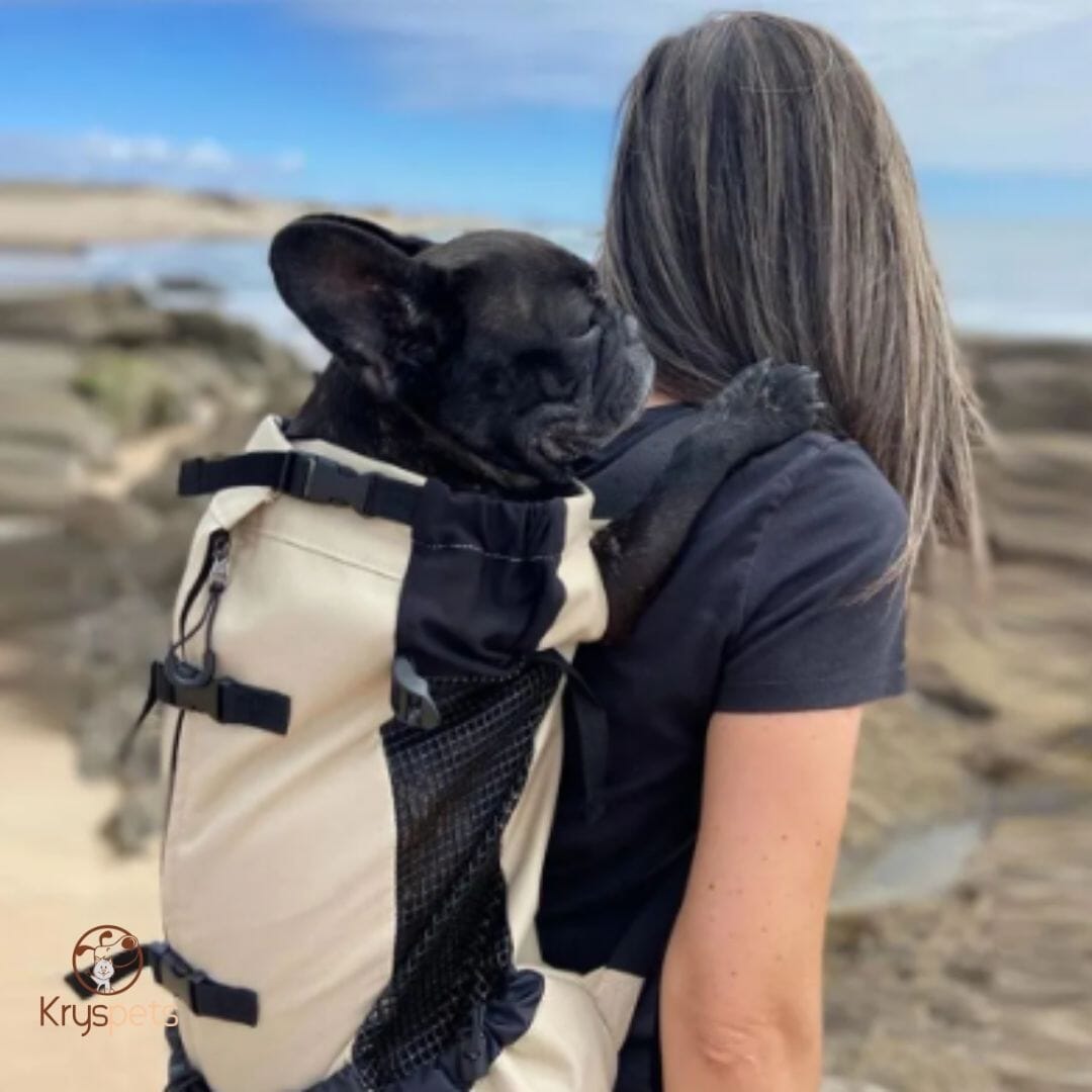 Sac à dos pour chien