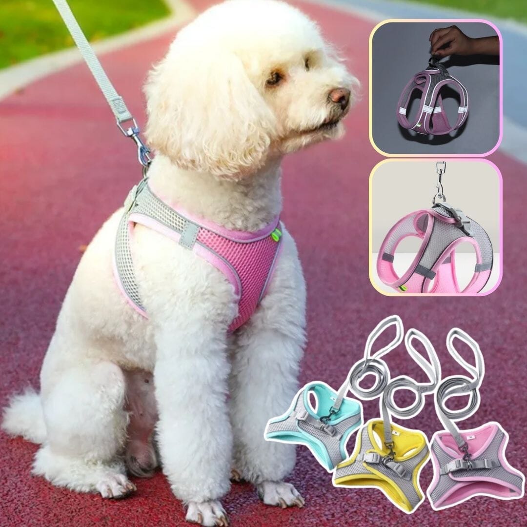 Harnais anti traction chien - MiniPETS™