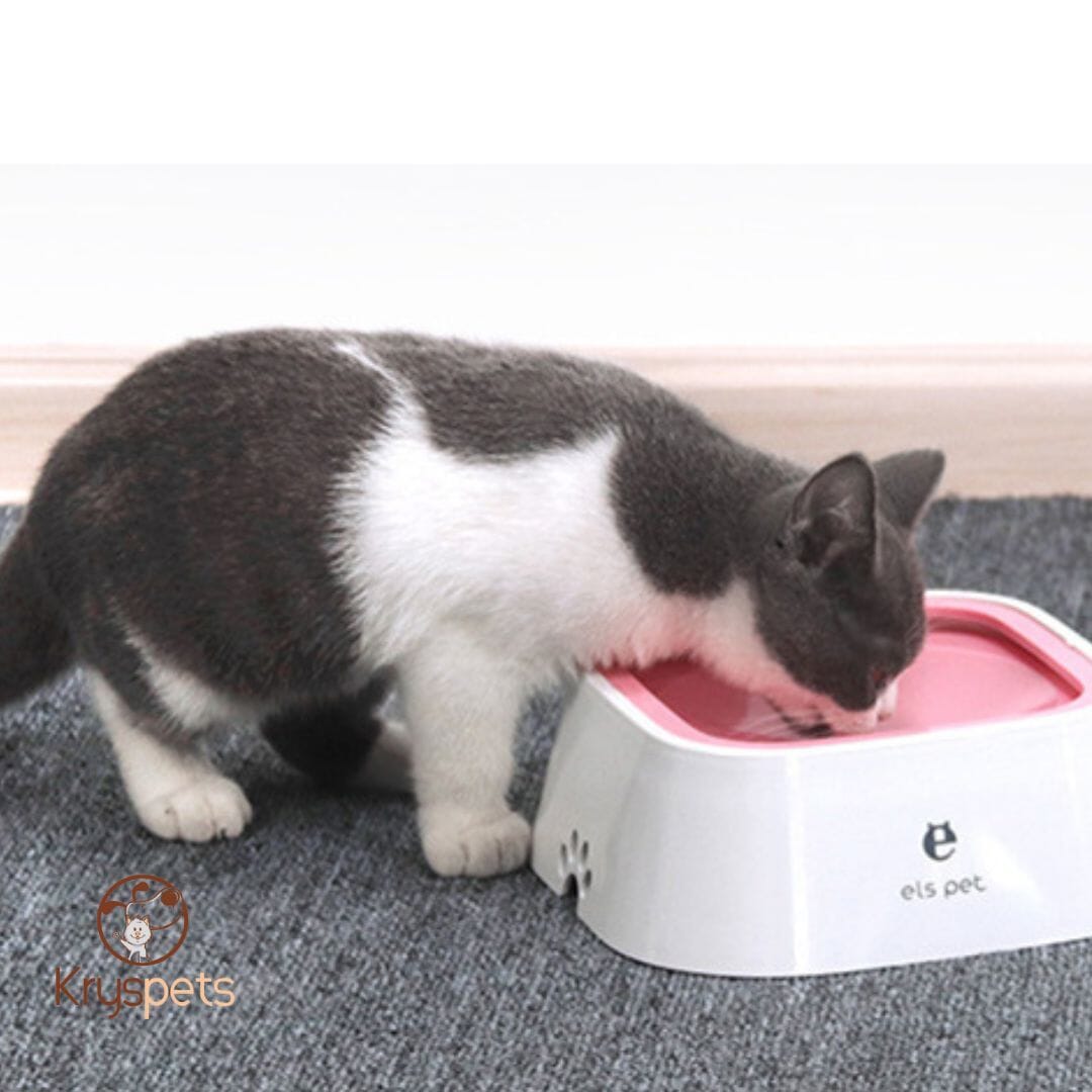 Gamelle pour chien - KrysWater™