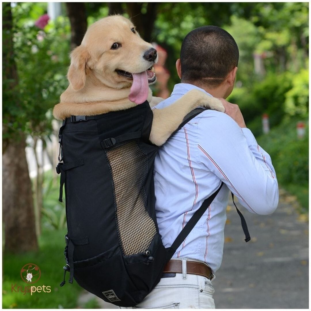 Sac à dos pour chien