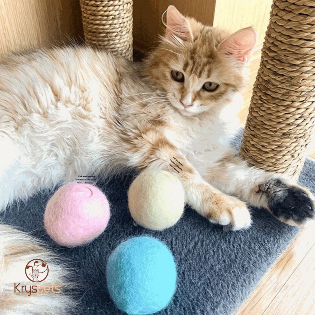 Jouet boule pour chat - Boule interactive KATBOULE™ - Kryspet's