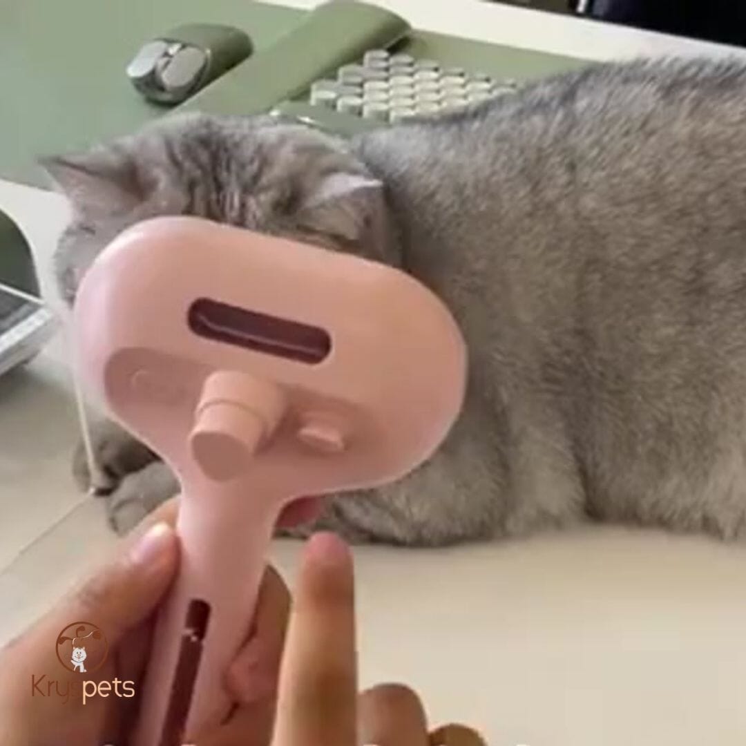 Brosse vapeur animaux - CleanHAIR™