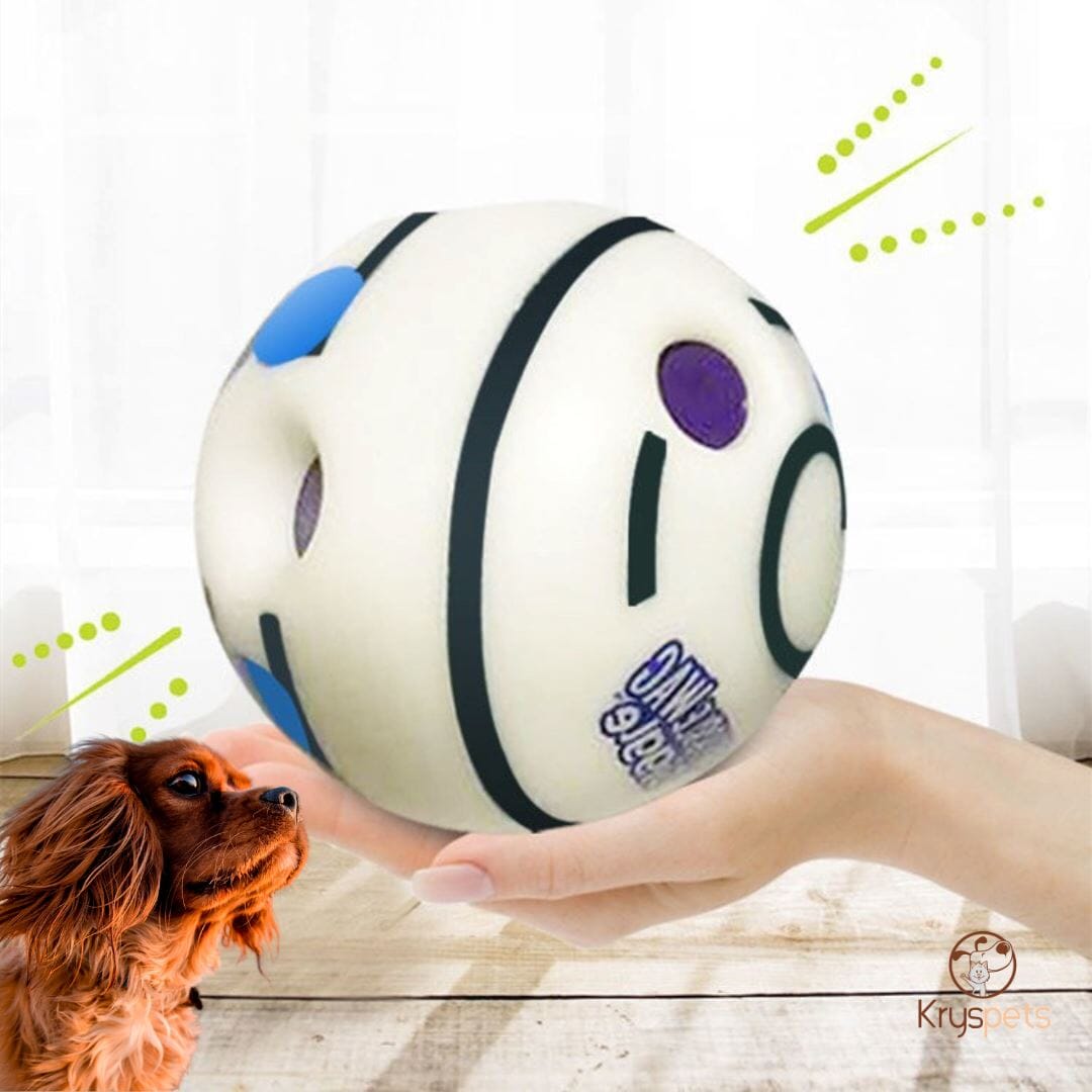 Balle pour chien - KrysBALLE™