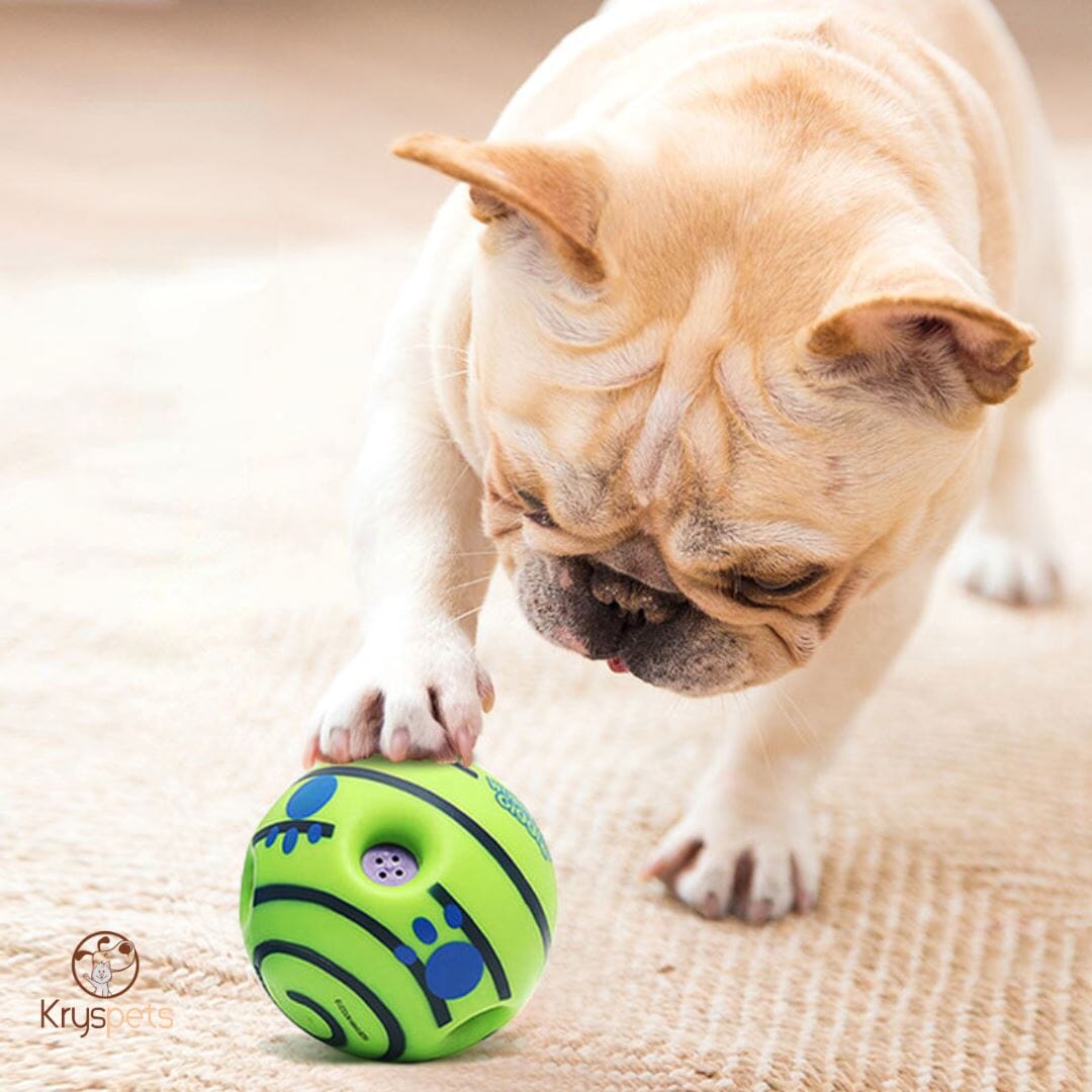 Balle pour chien - KrysBALLE™
