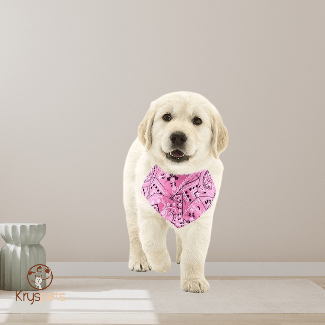 Bandana chien - KrysSTYLE™*