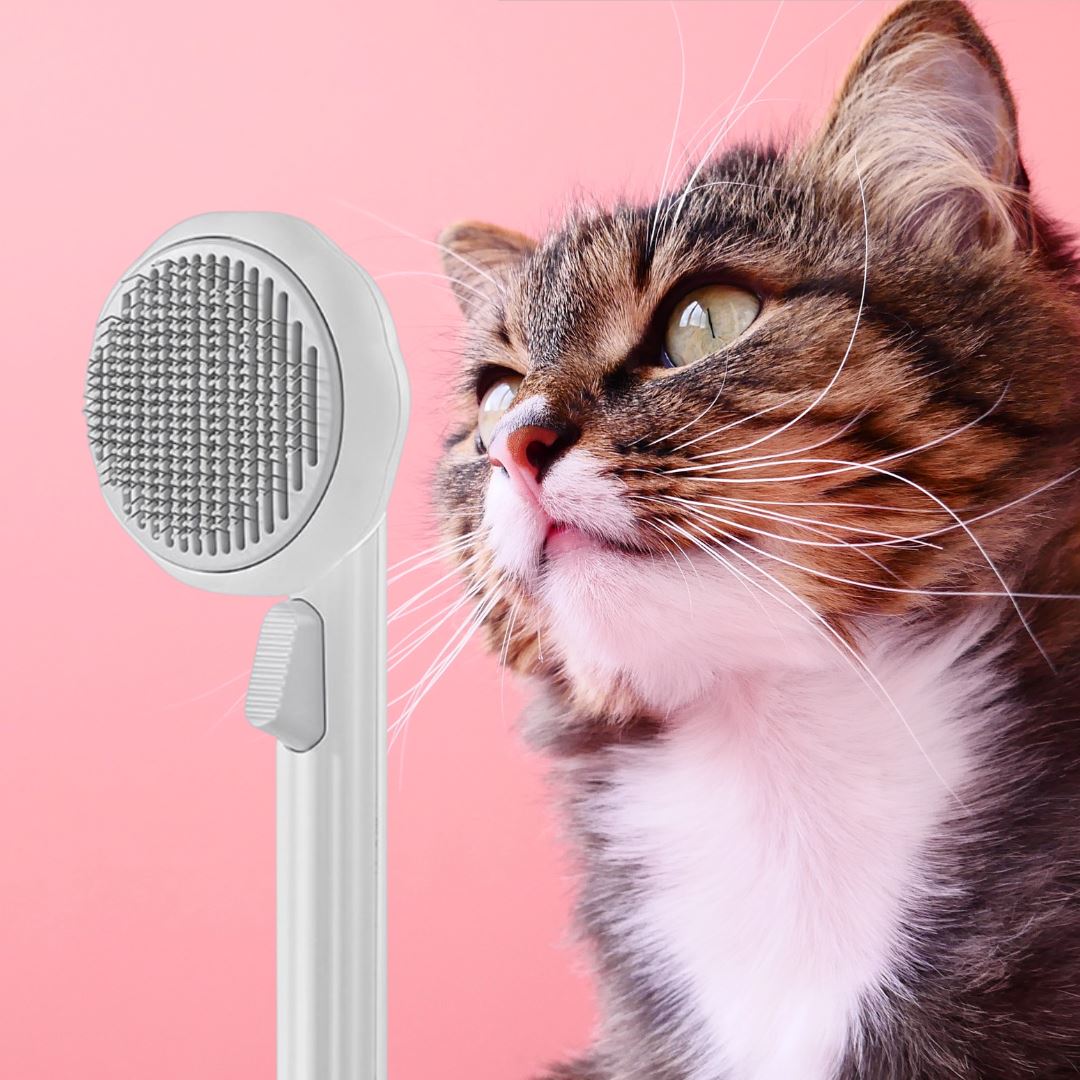 Brosse anti poils animaux