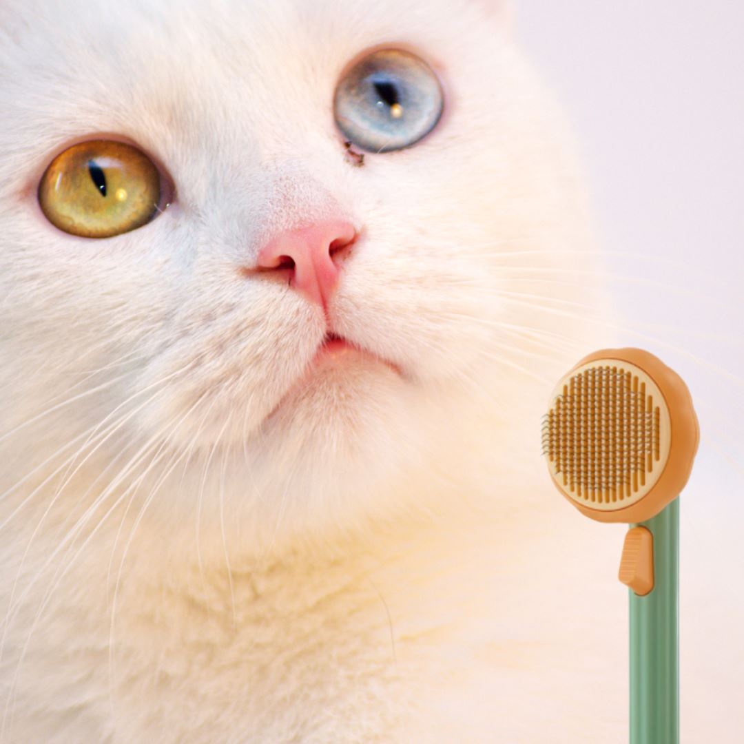 Brosse chat