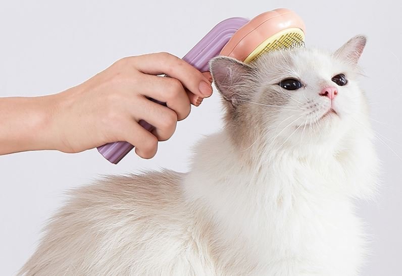 Brosse anti poil