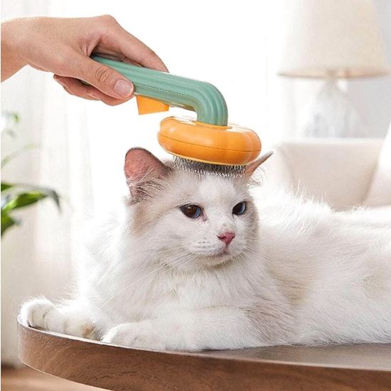 Brosse anti poils