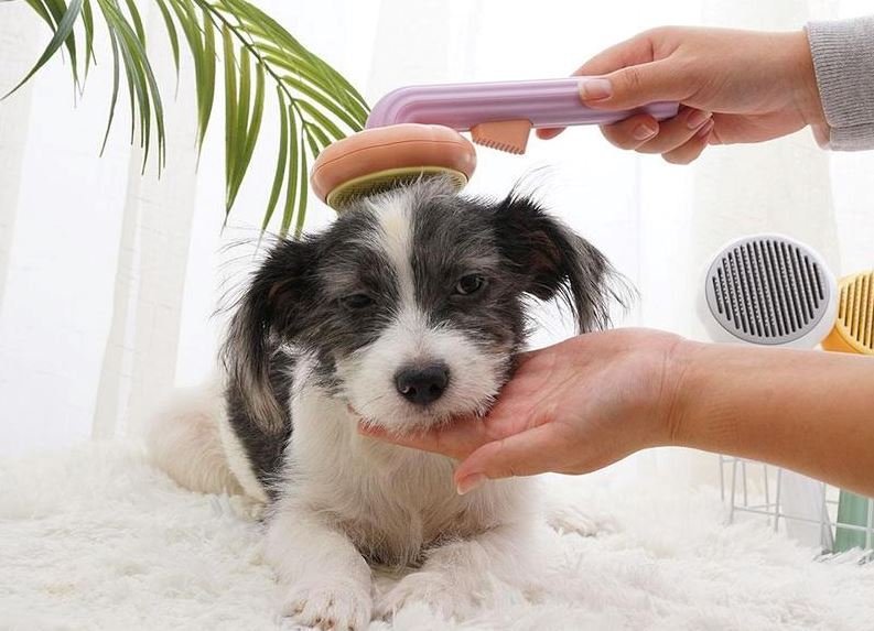 Brosse anti poil pour chat