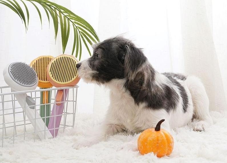 Brosse anti poils pour animaux