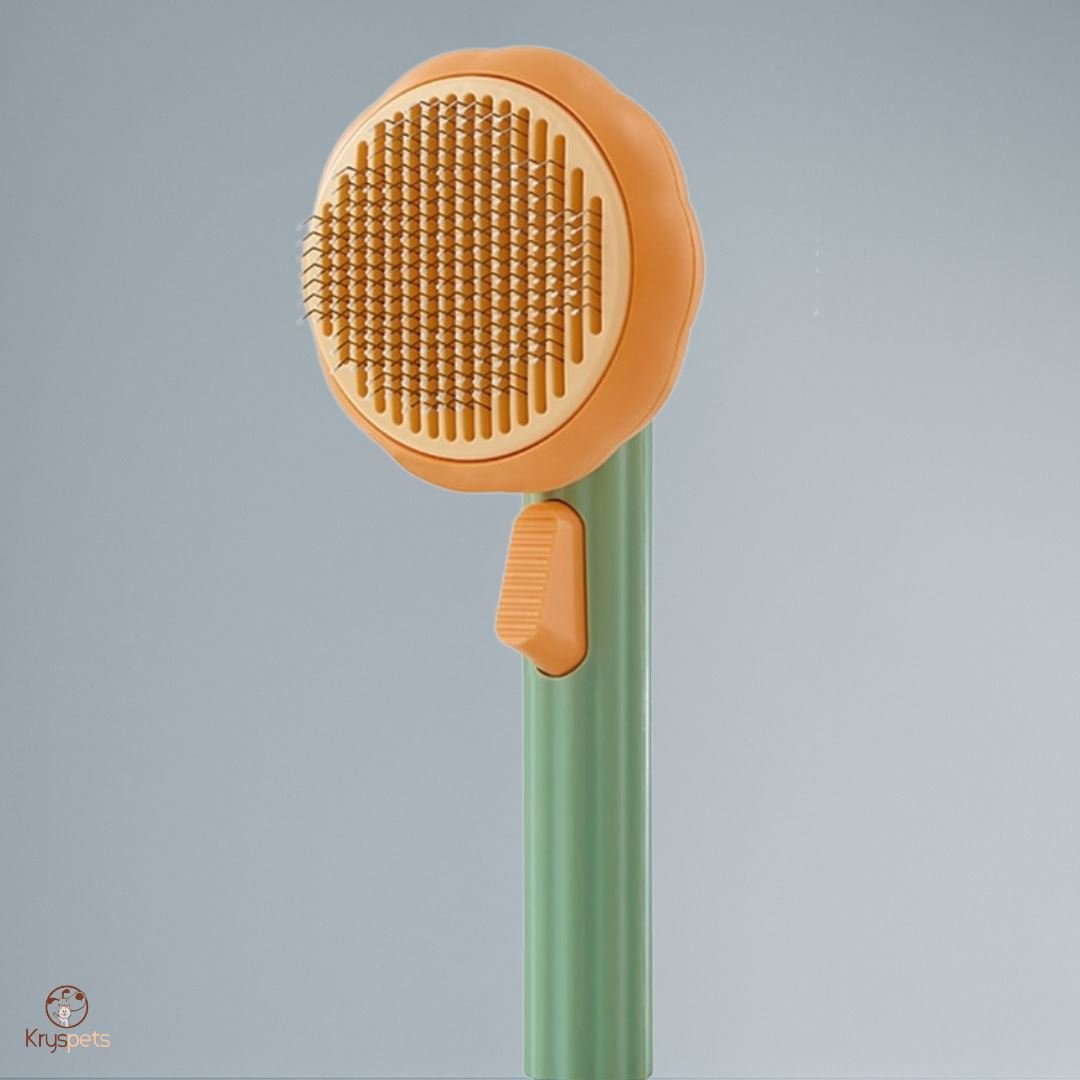Brosse pour anti poils chats