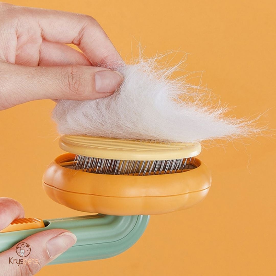 Brosse anti-poil