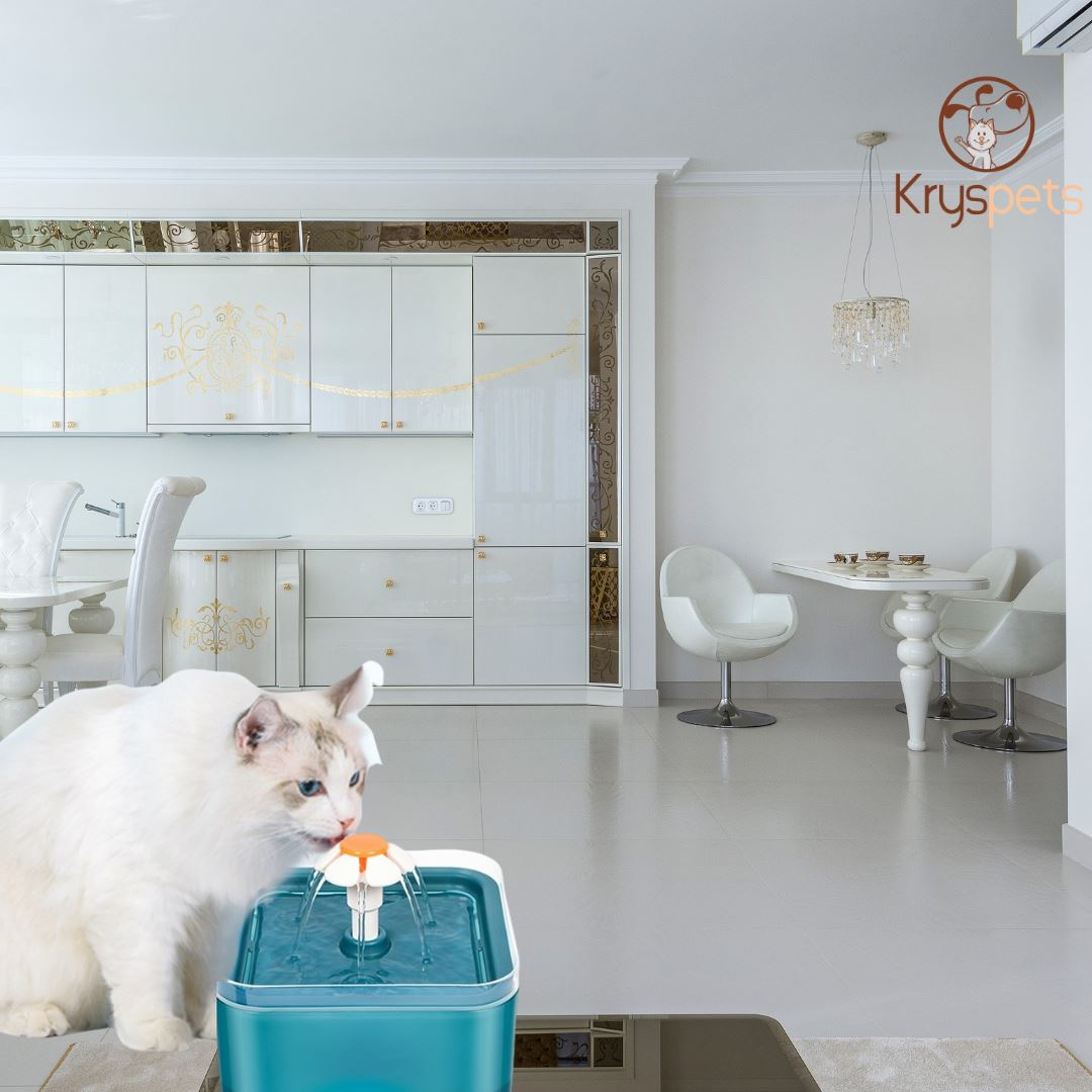 Fontaine a eau chat chien - KRYSFONTAINE™