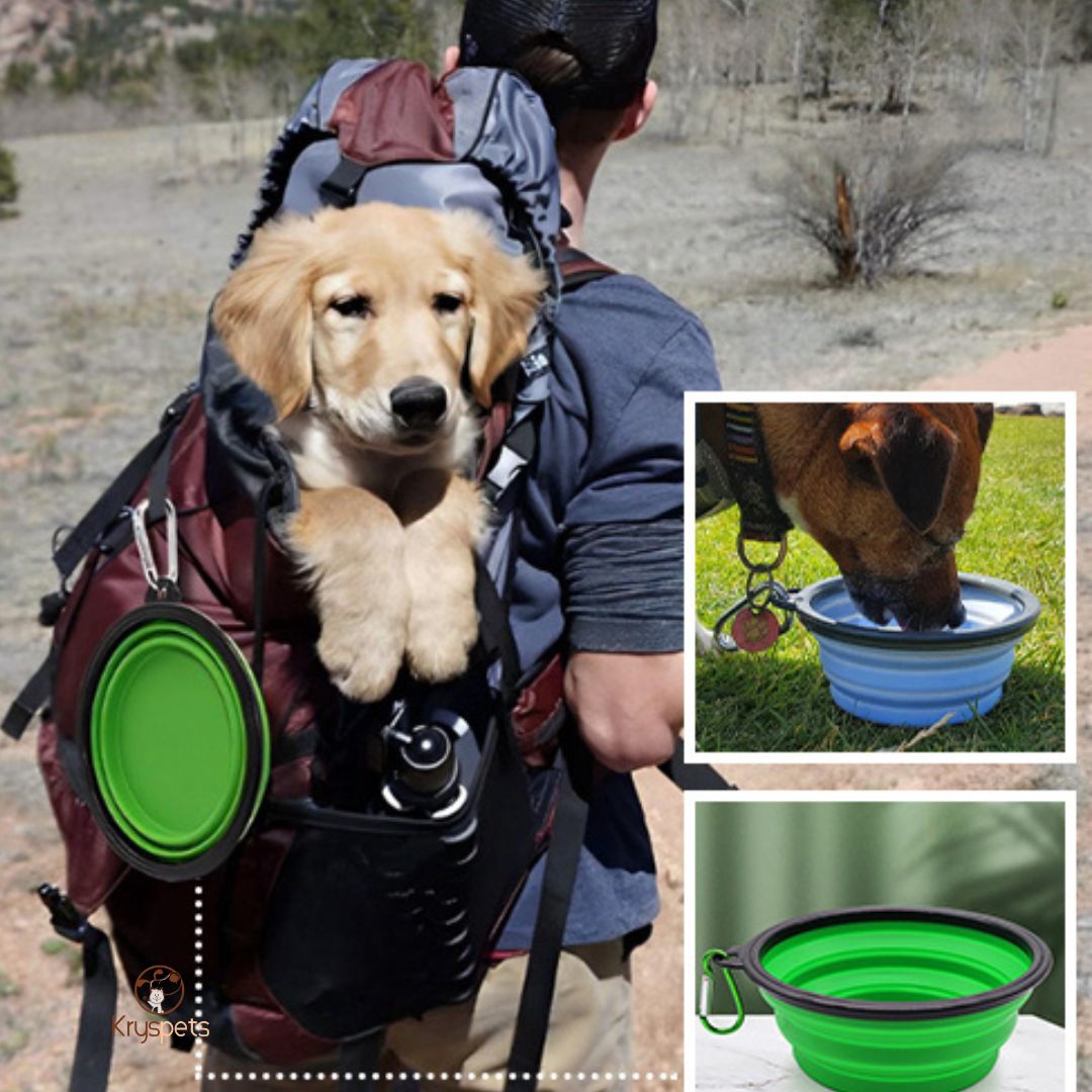 Gamelle chien - AquaDOG™